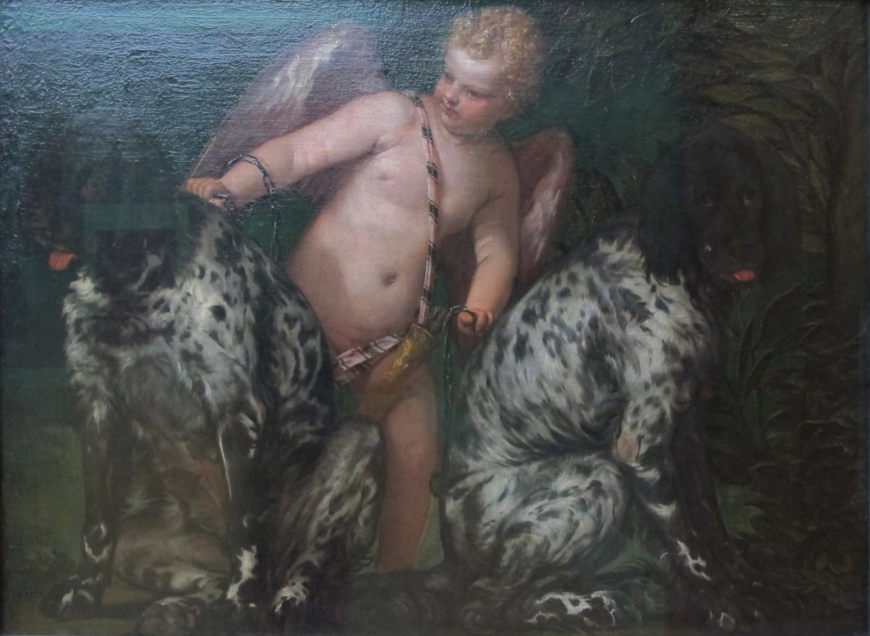 Cupido con due cani da Paolo Veronese