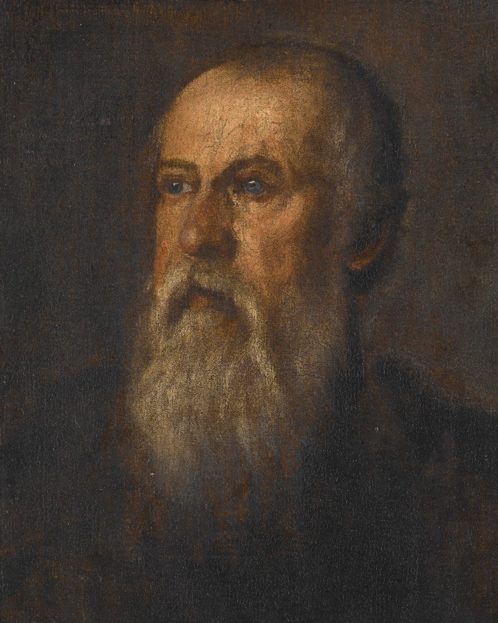 Ritratto di uomo barbuto da Paolo Veronese