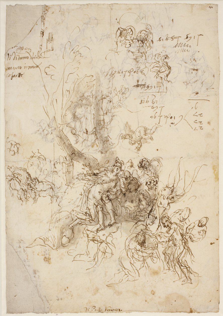 Bozzetti per la nascita e la morte di Adone da Paolo Veronese