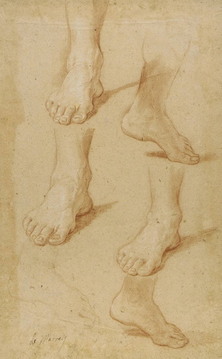 Disegno da Paolo de Matteis