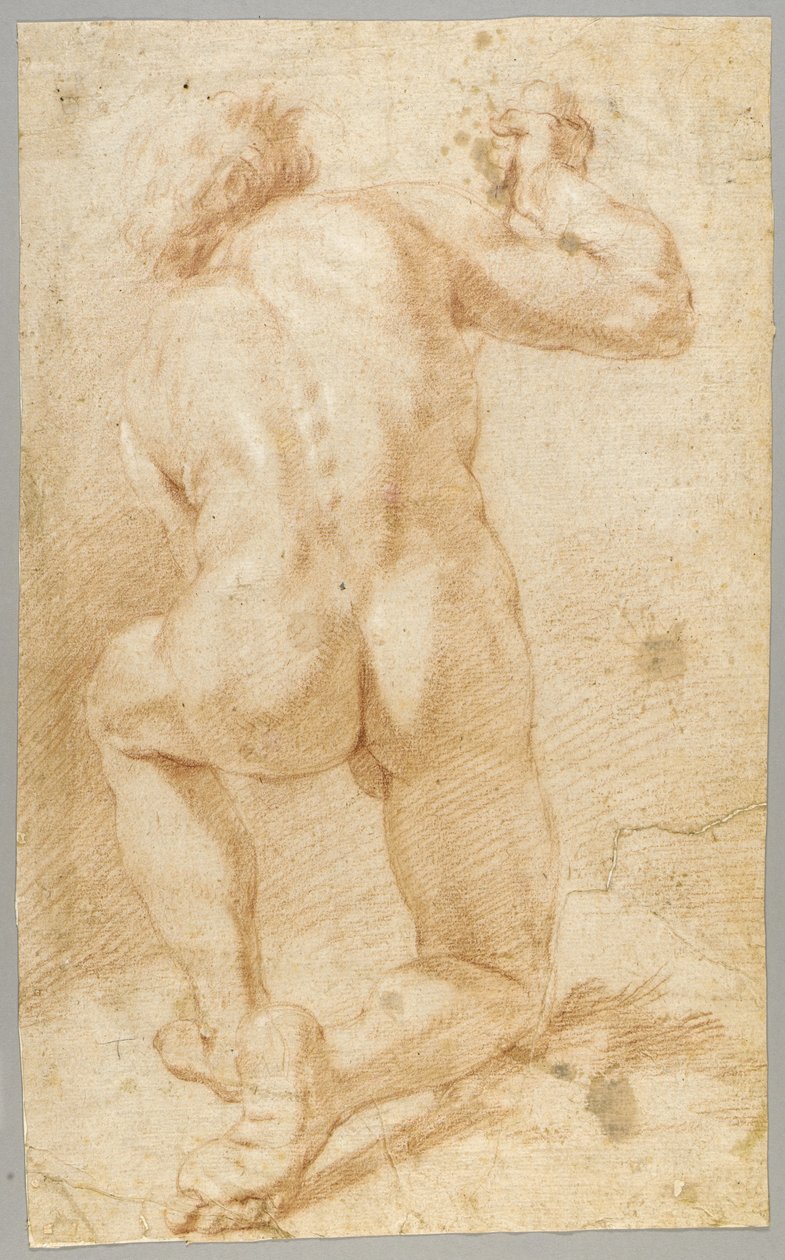 Disegno da Paolo de Matteis