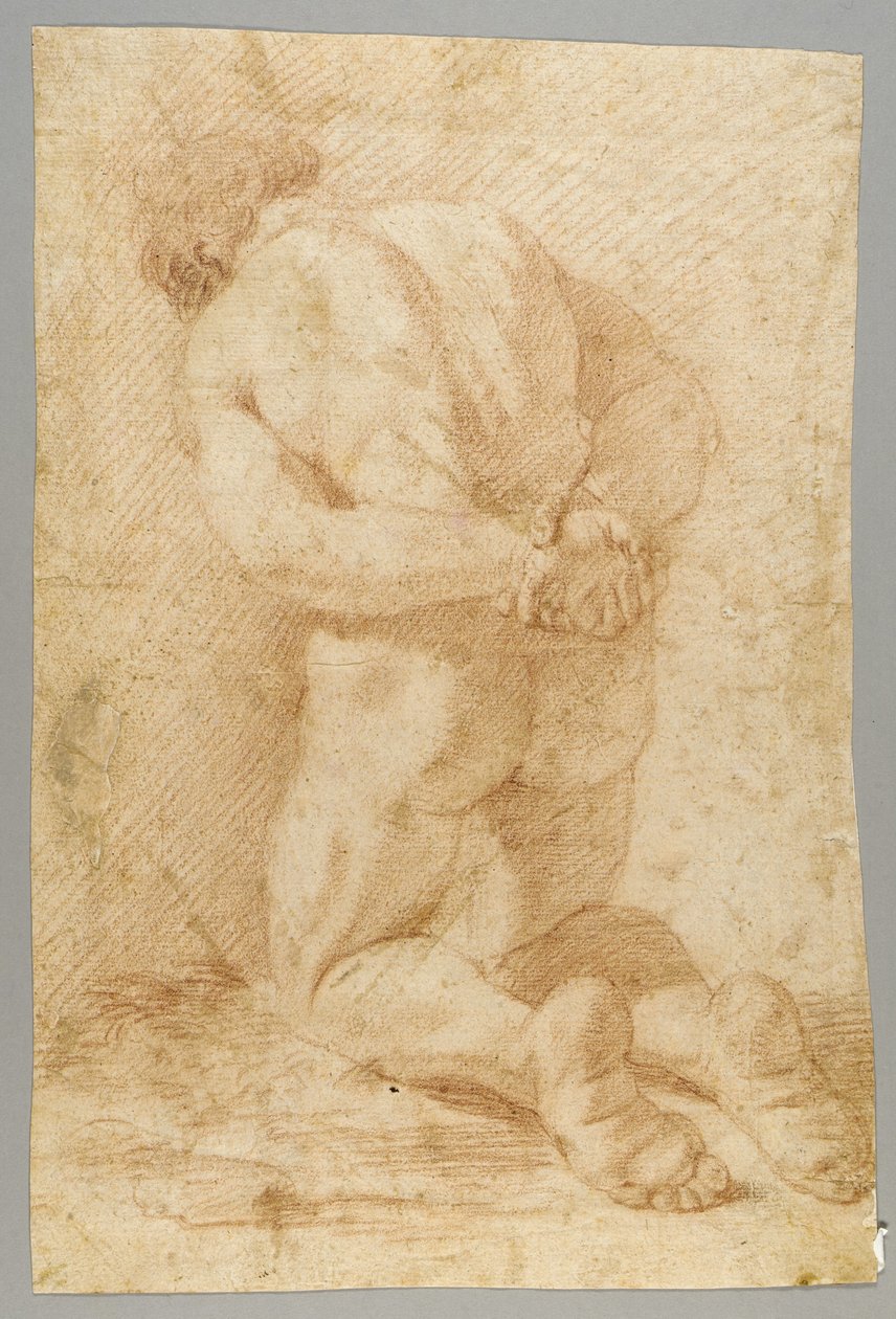 Disegno da Paolo de Matteis