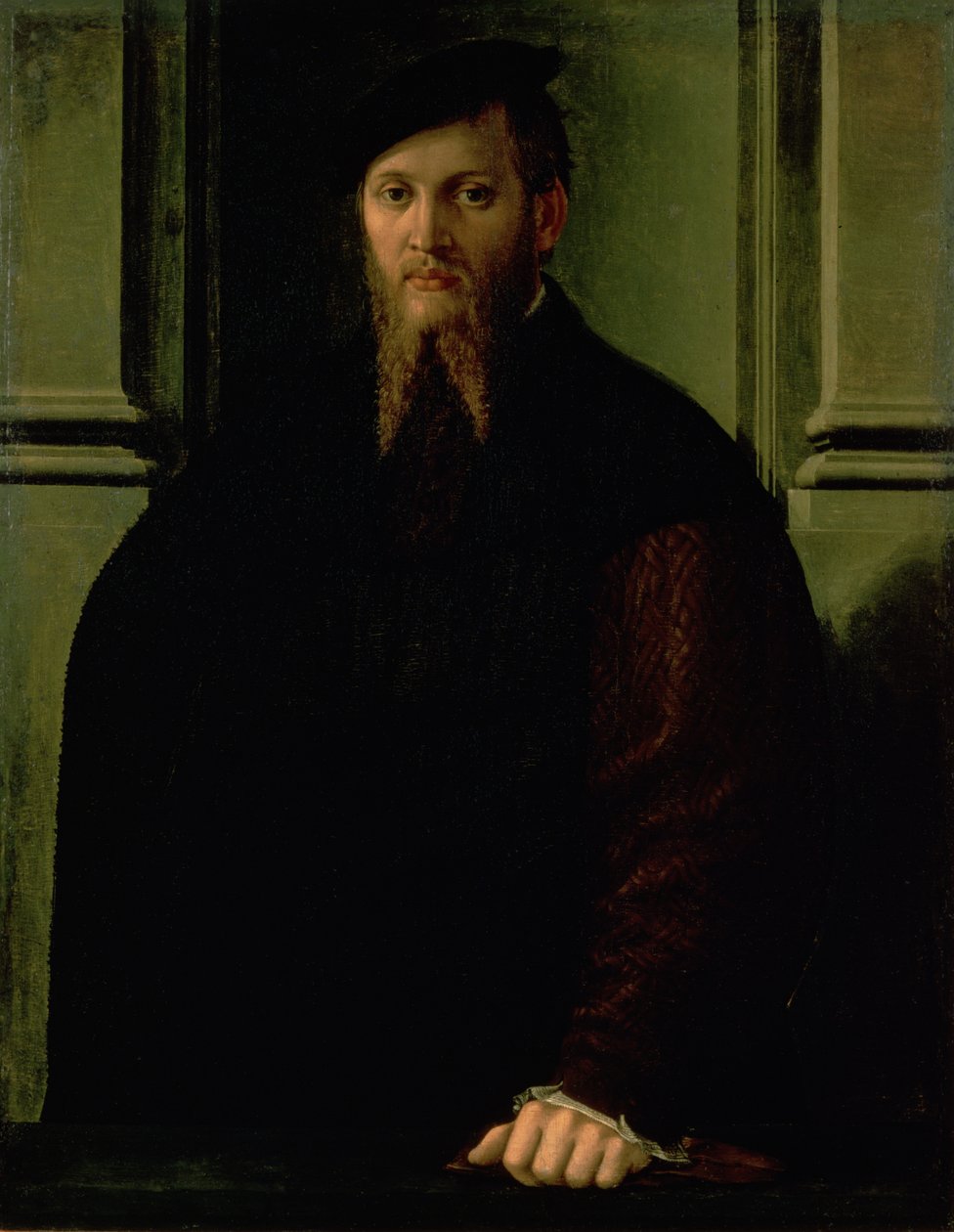 Ritratto di un uomo da Parmigianino