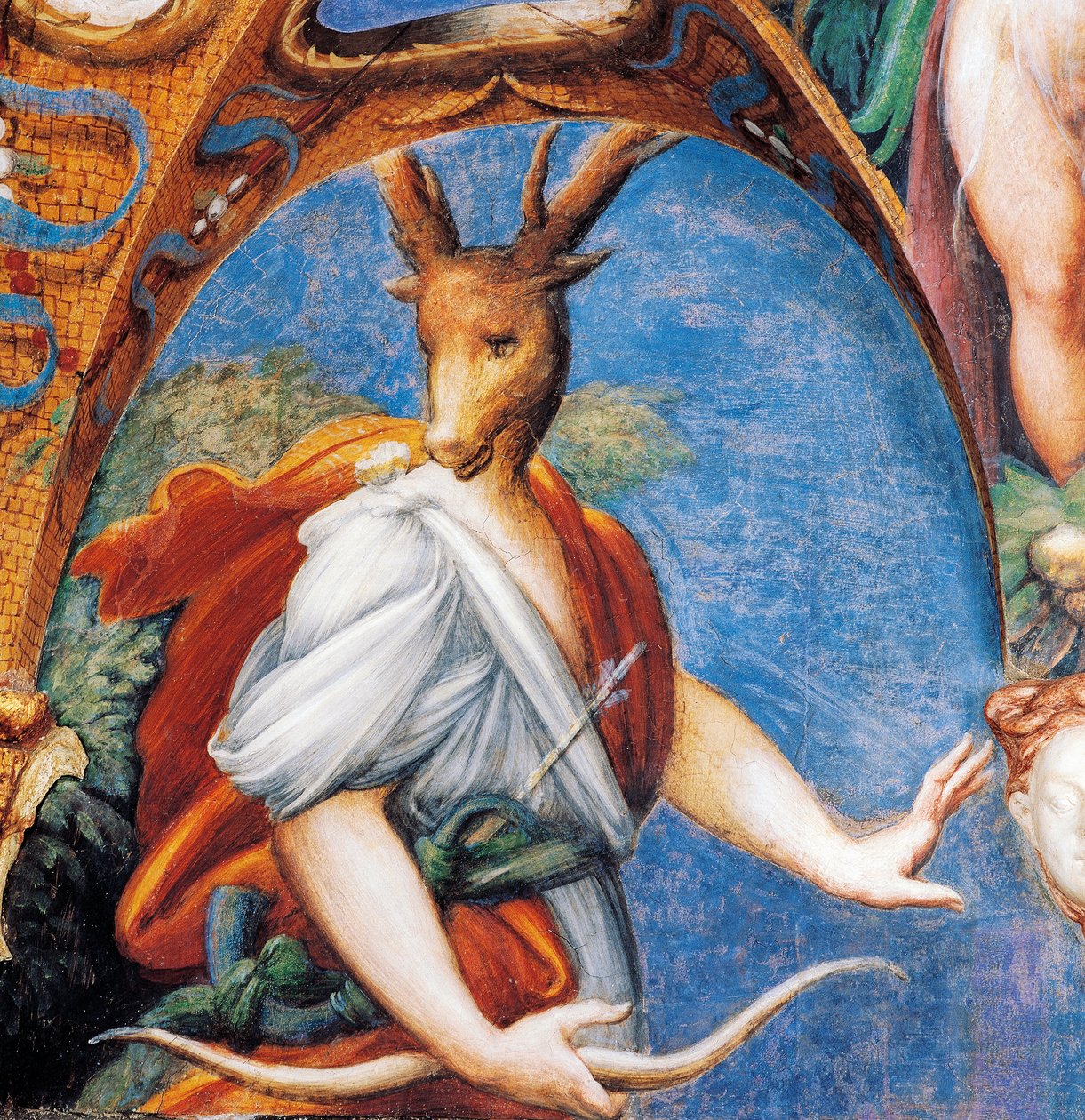 Trasformazione di Atteone in cervo da Parmigianino