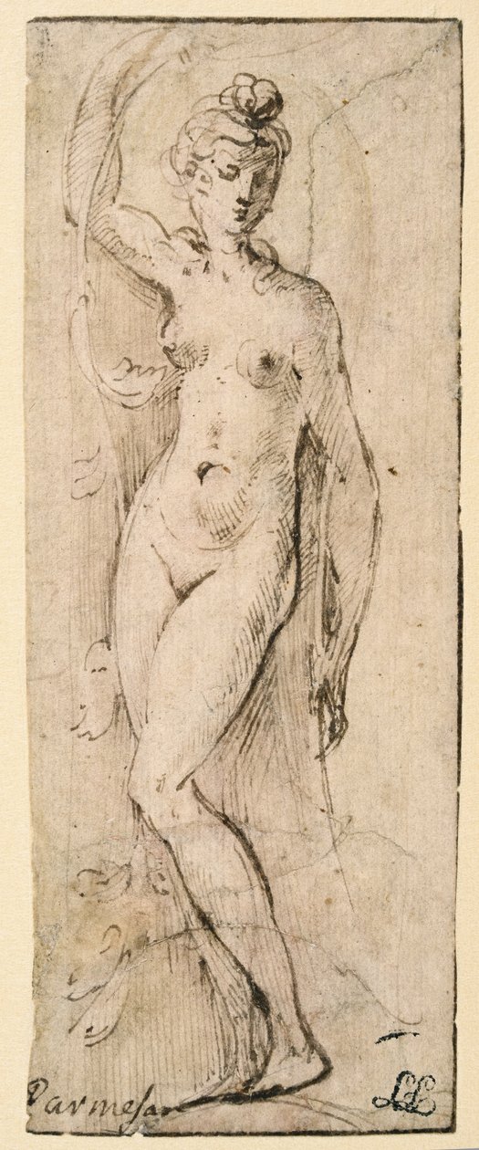 Figura femminile - studio per Santa Maria della Steccata, Parma (recto) da Parmigianino