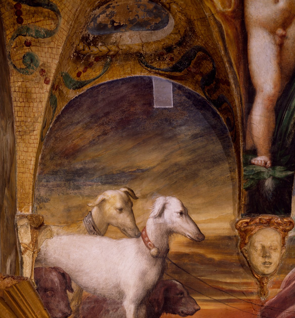 Gruppo di cani, dal Mito di Diana e Atteone da Parmigianino