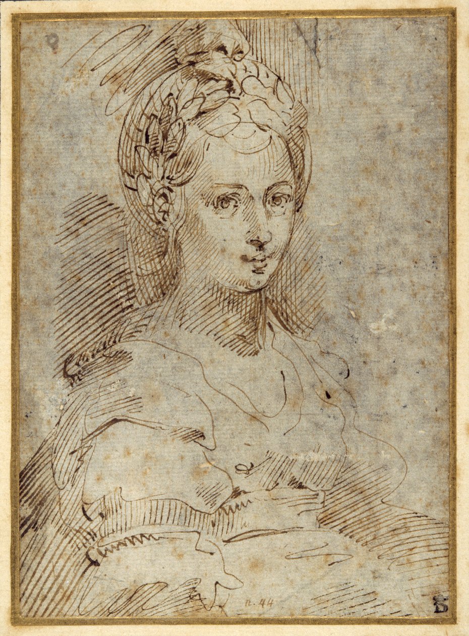 Mezza lunghezza di una donna seduta da Parmigianino