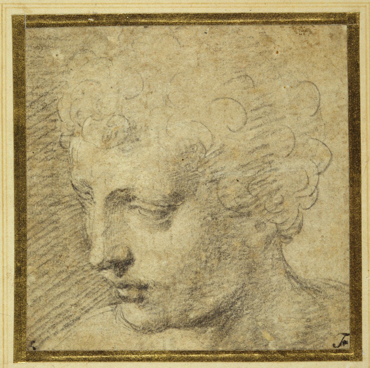 Testa di un ragazzo, quasi di profilo a sinistra da Parmigianino