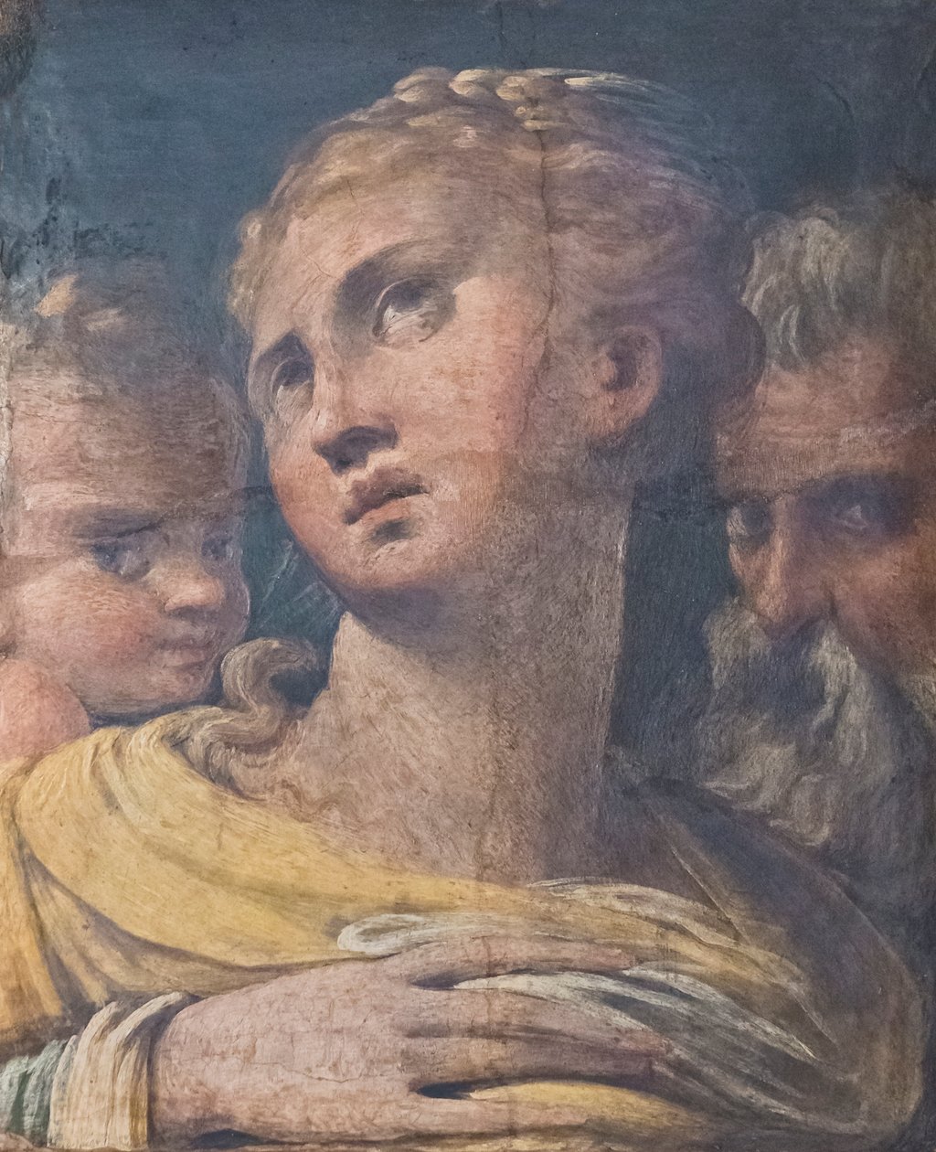 Tre teste da Parmigianino (1503 40)