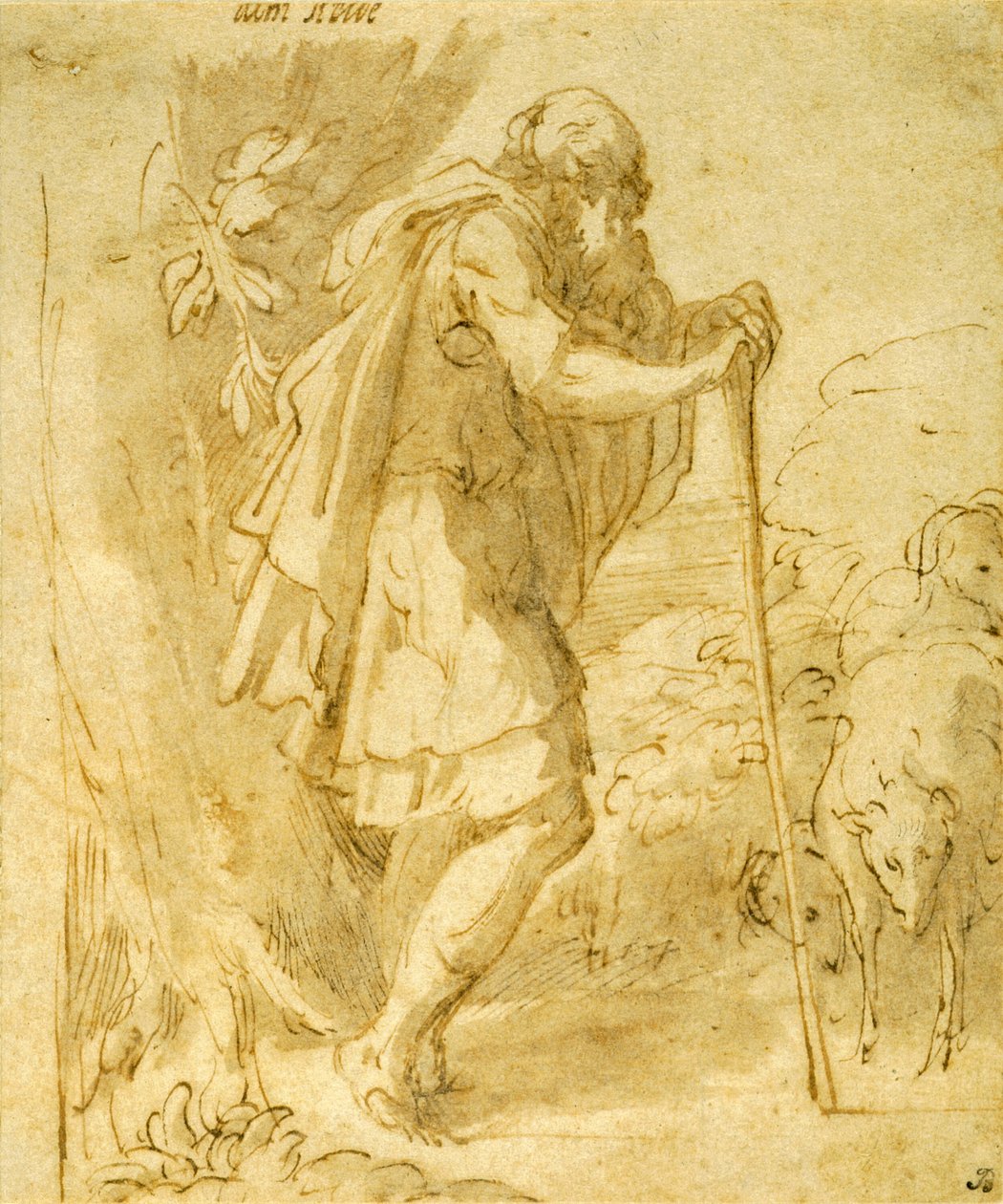Vecchio pastore appoggiato a un bastone da Parmigianino