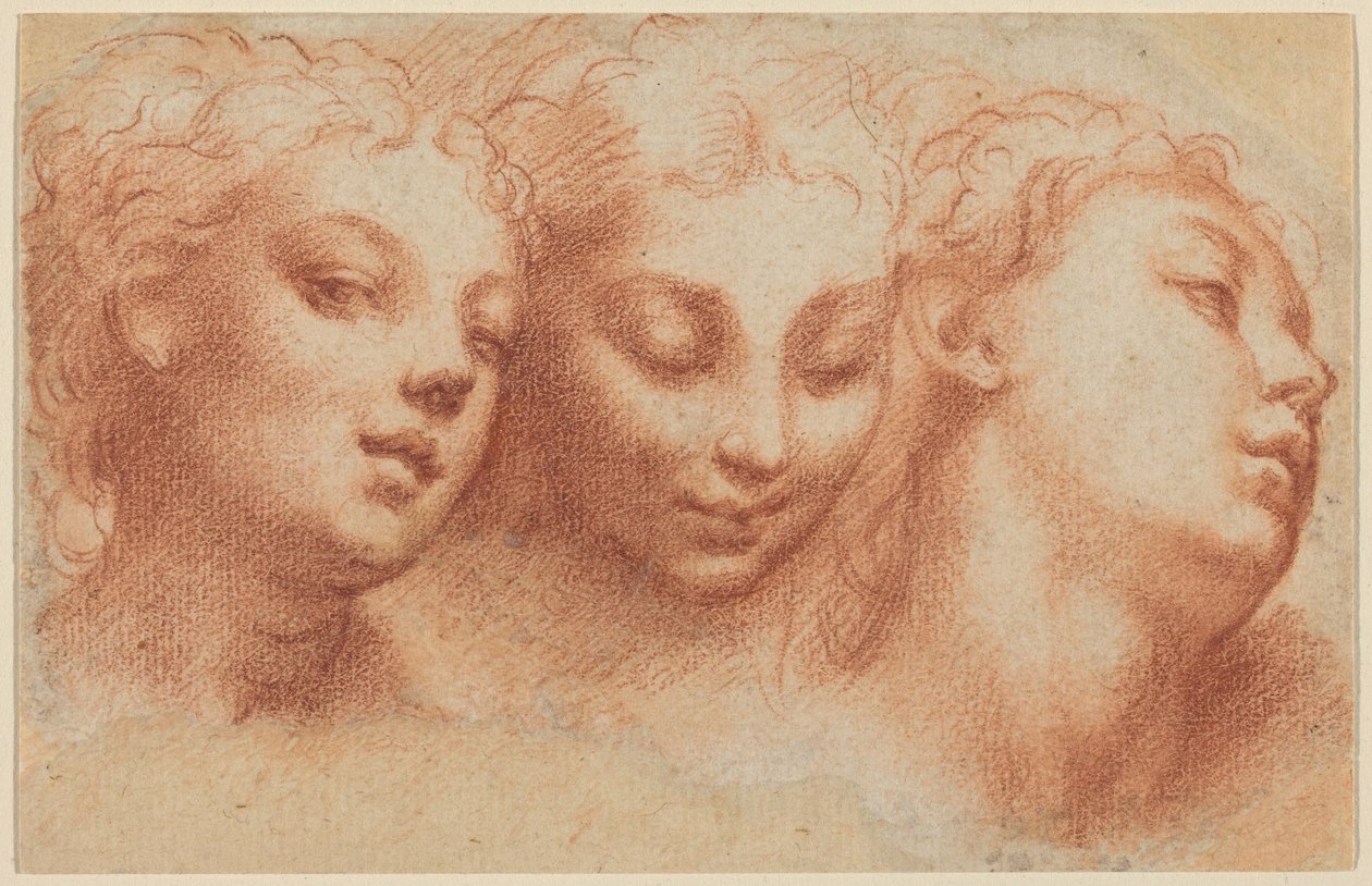 Tre teste femminili da Parmigianino
