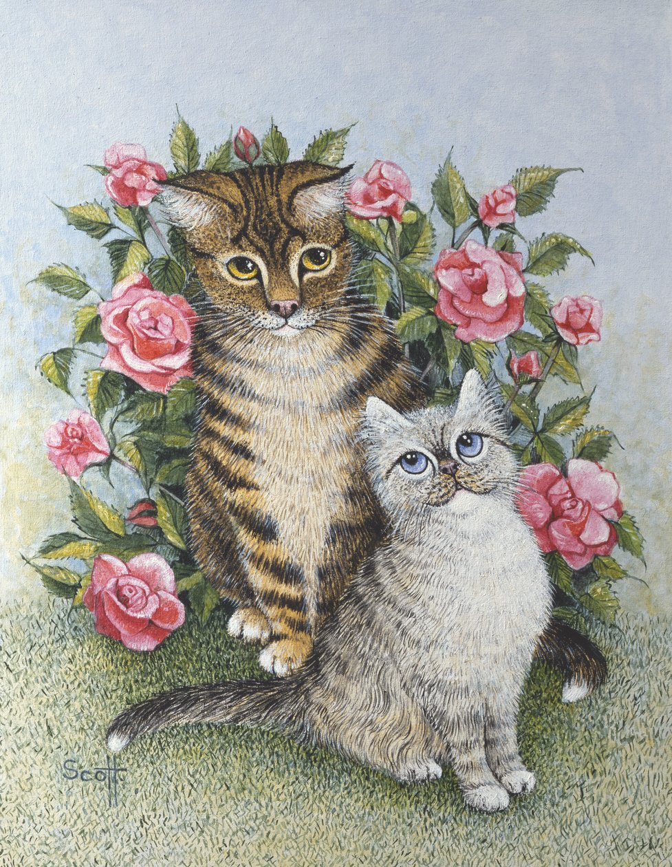 Attrazione (olio su tela) da Pat Scott