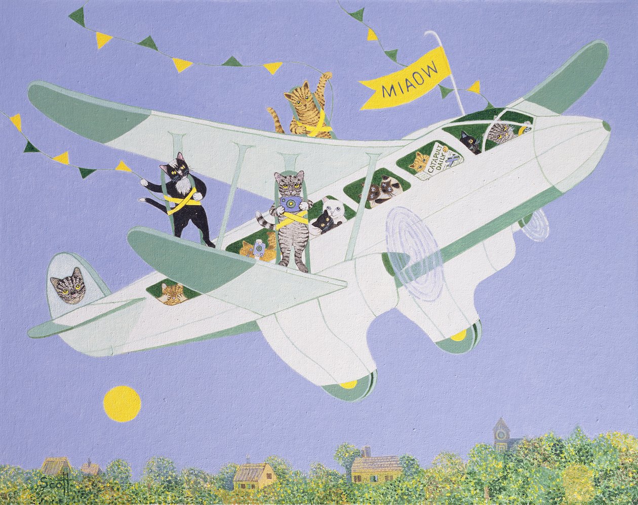Cat Air Show (acrilico su tela) da Pat Scott