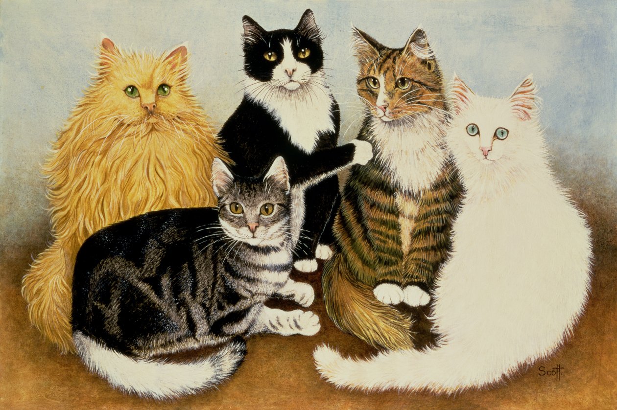 La culla del gatto da Pat Scott