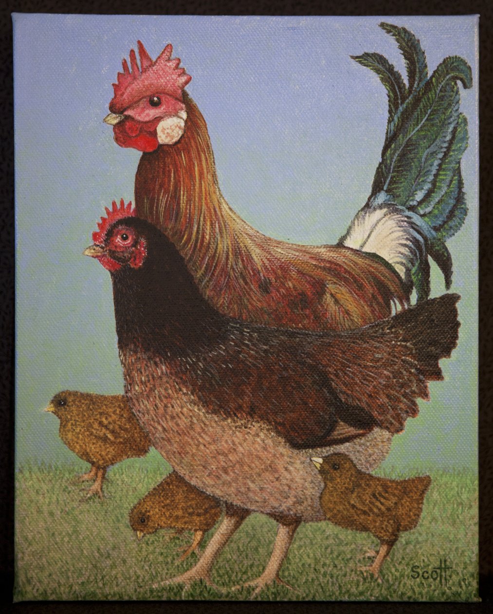 Famiglia di polli, 2016 da Pat Scott