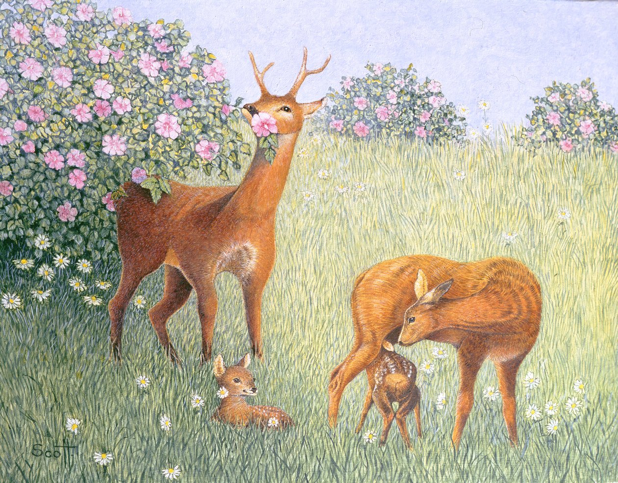 Famiglia di cervi (olio su tela) da Pat Scott