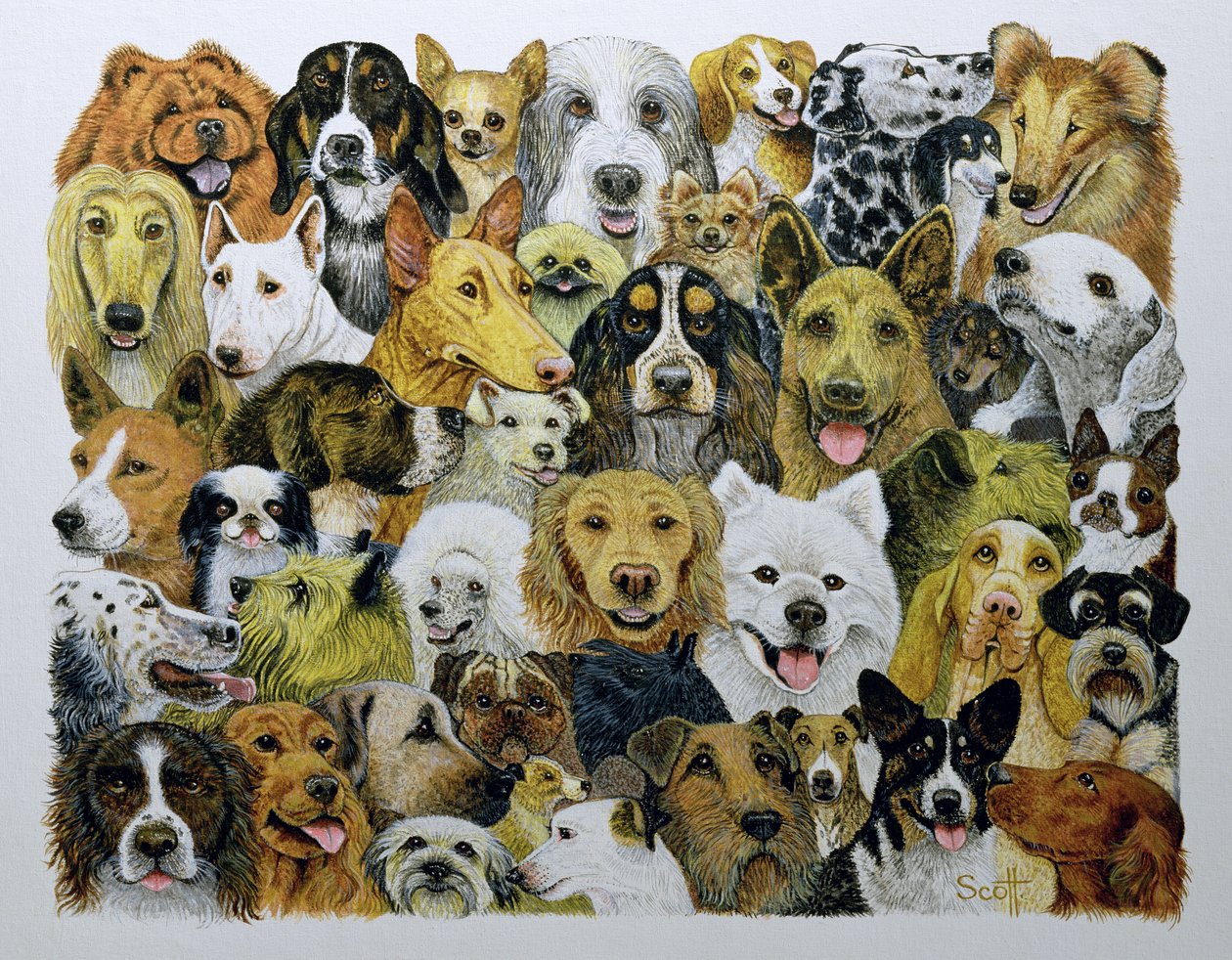 Amici cani (olio su tela) da Pat Scott