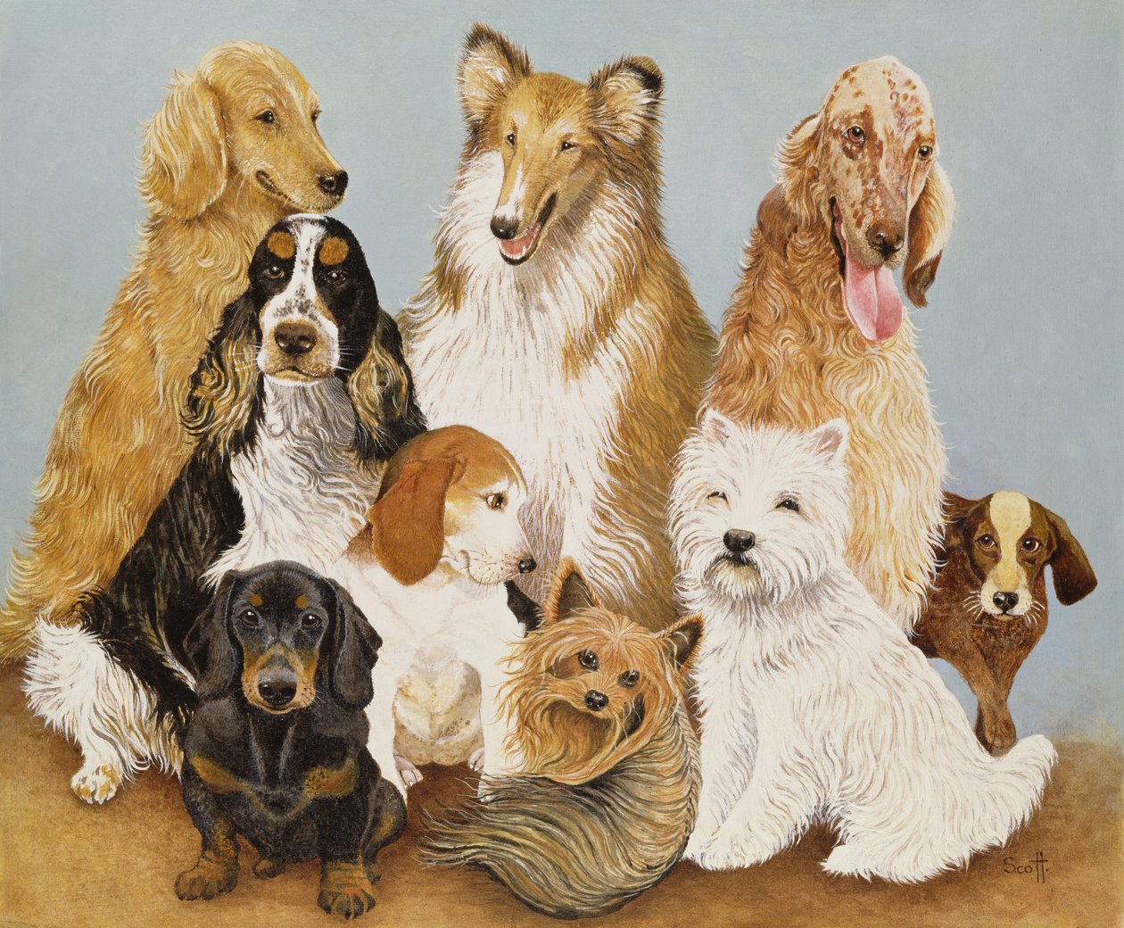 Cena per cani (olio su tela) da Pat Scott