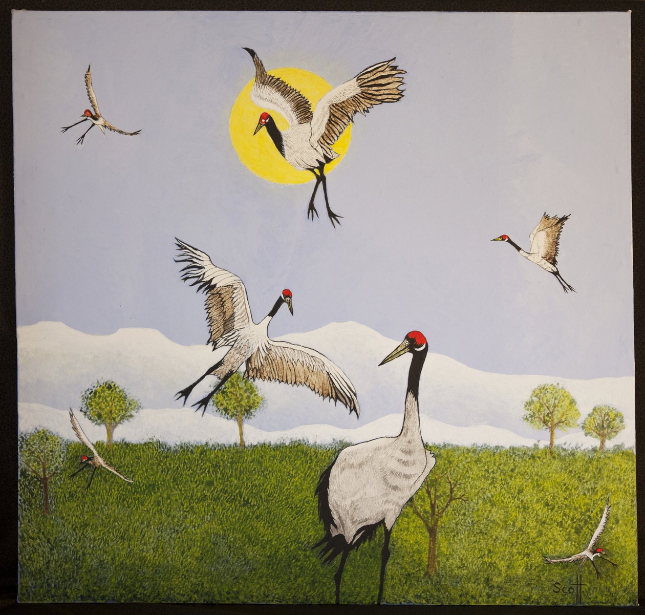 Araldi di primavera, 2016 da Pat Scott
