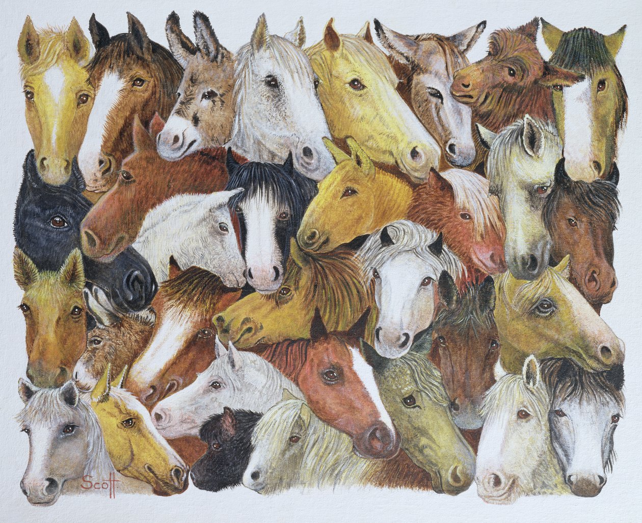 Cavalli Cavalli (olio su tela) da Pat Scott