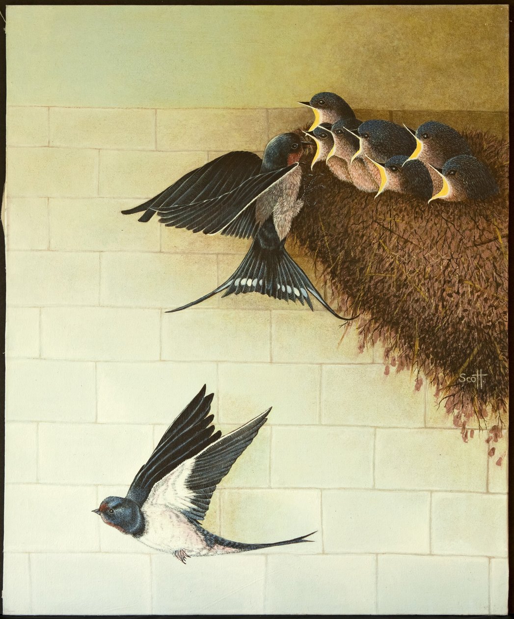 Bocche affamate, 2011 (acrilico su calicò) da Pat Scott