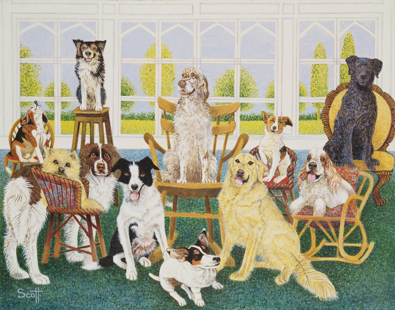 Nella casa del cane da Pat Scott