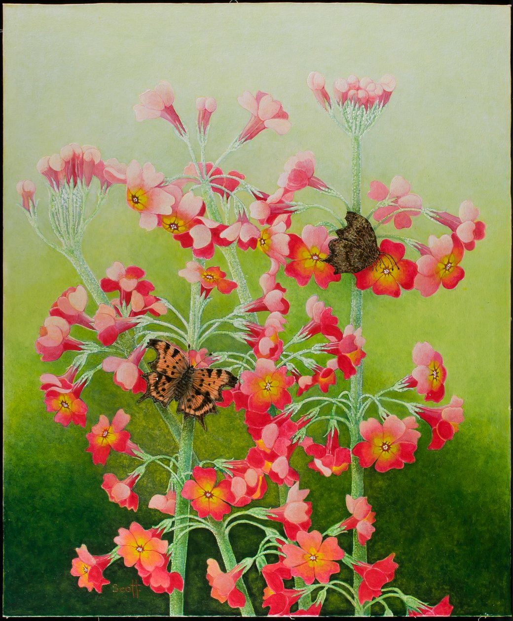 In the Pink, 2011 (acrilico su calico) da Pat Scott