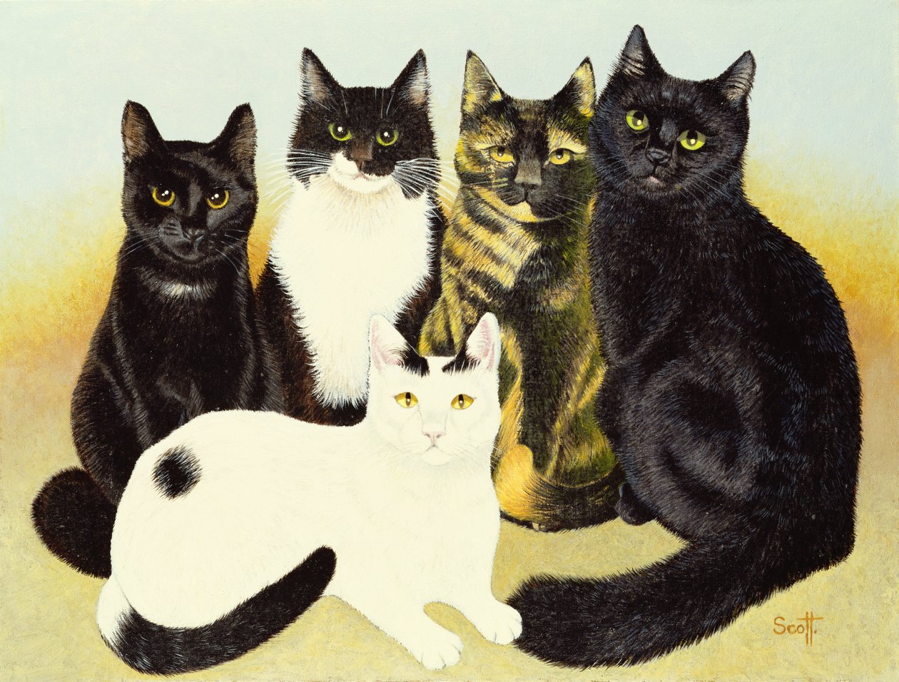 I gatti di Miss Cox da Pat Scott
