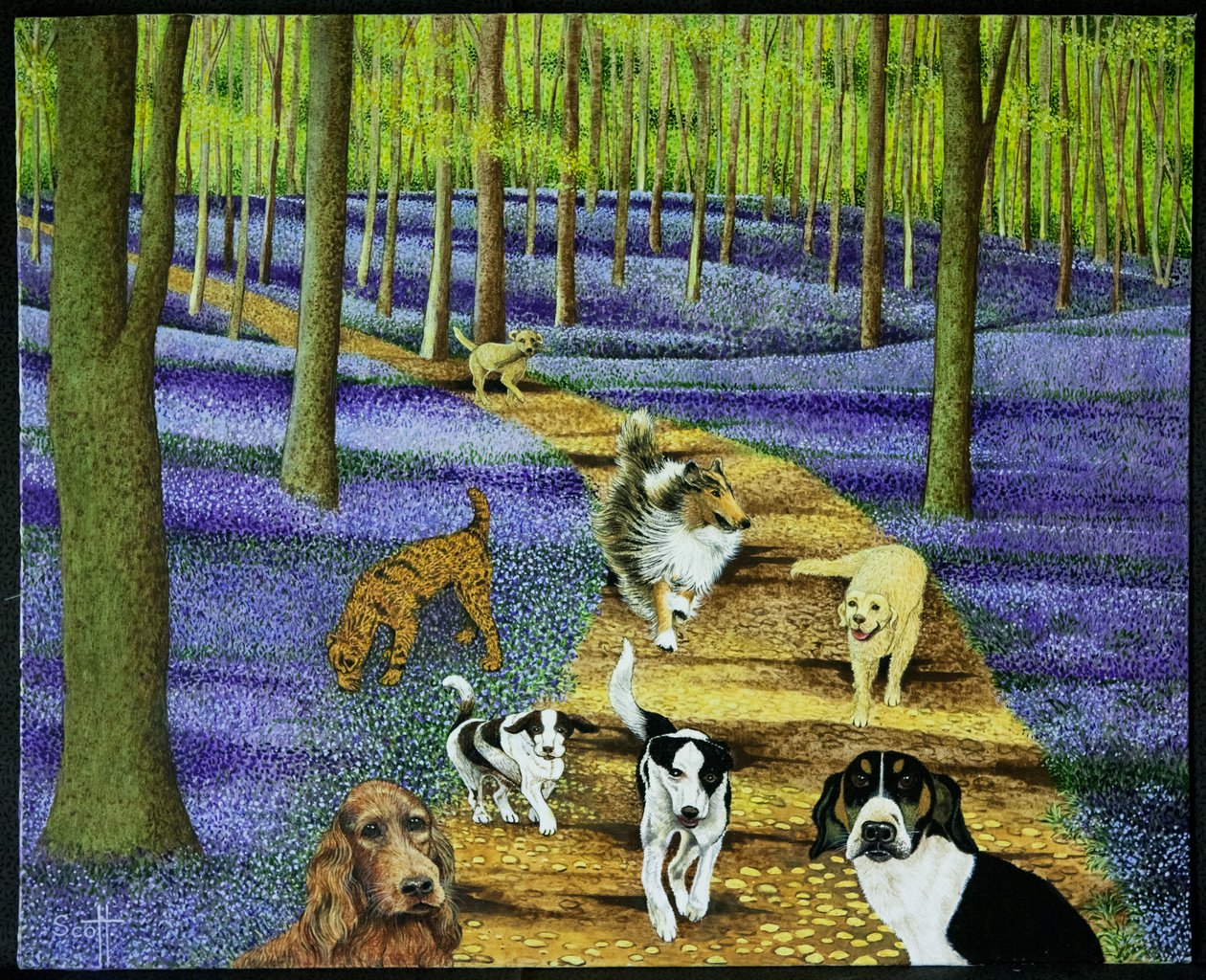 La passeggiata mattutina da Pat Scott