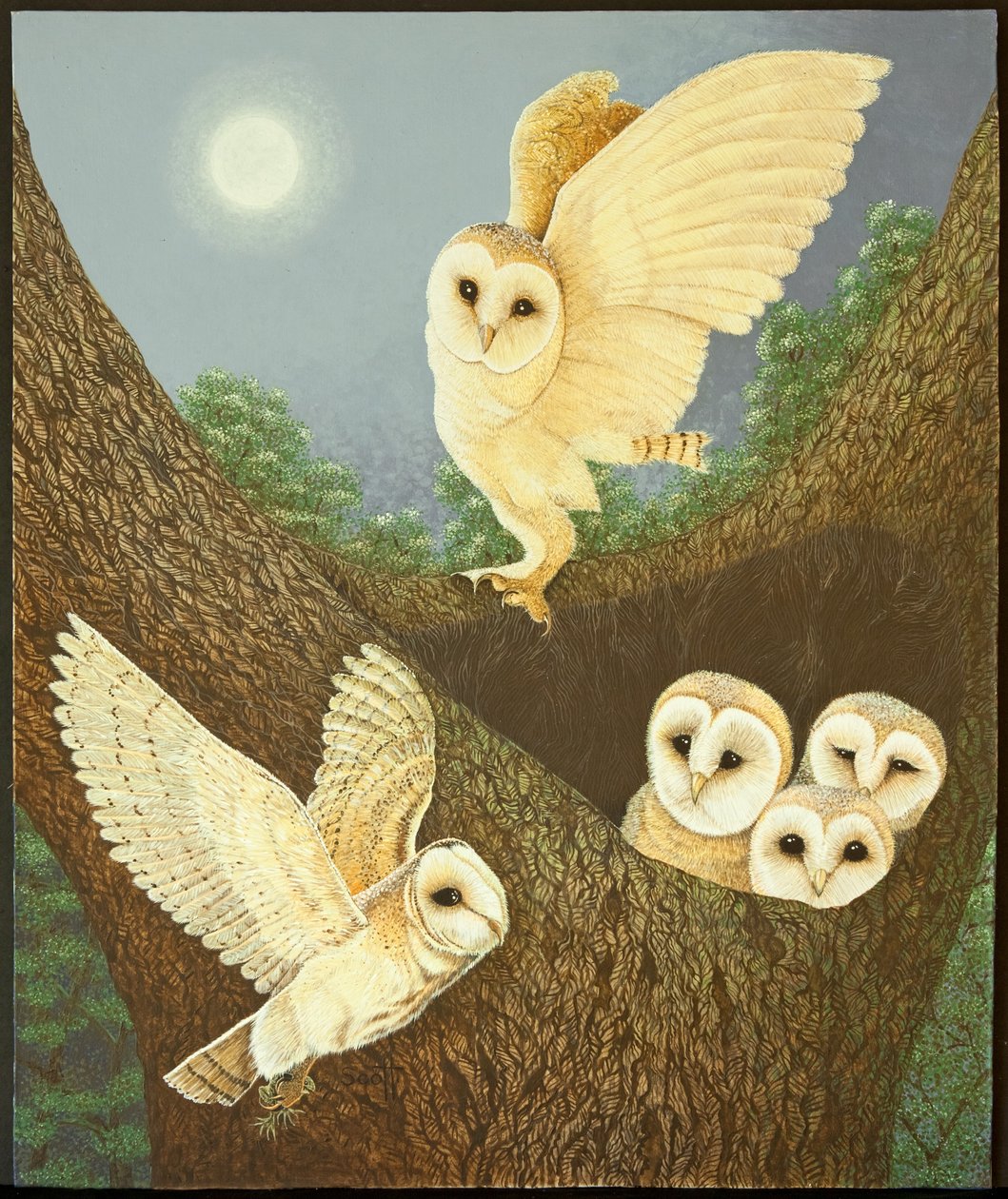 Watching and Waiting, 2013 (acrilico su carta) da Pat Scott