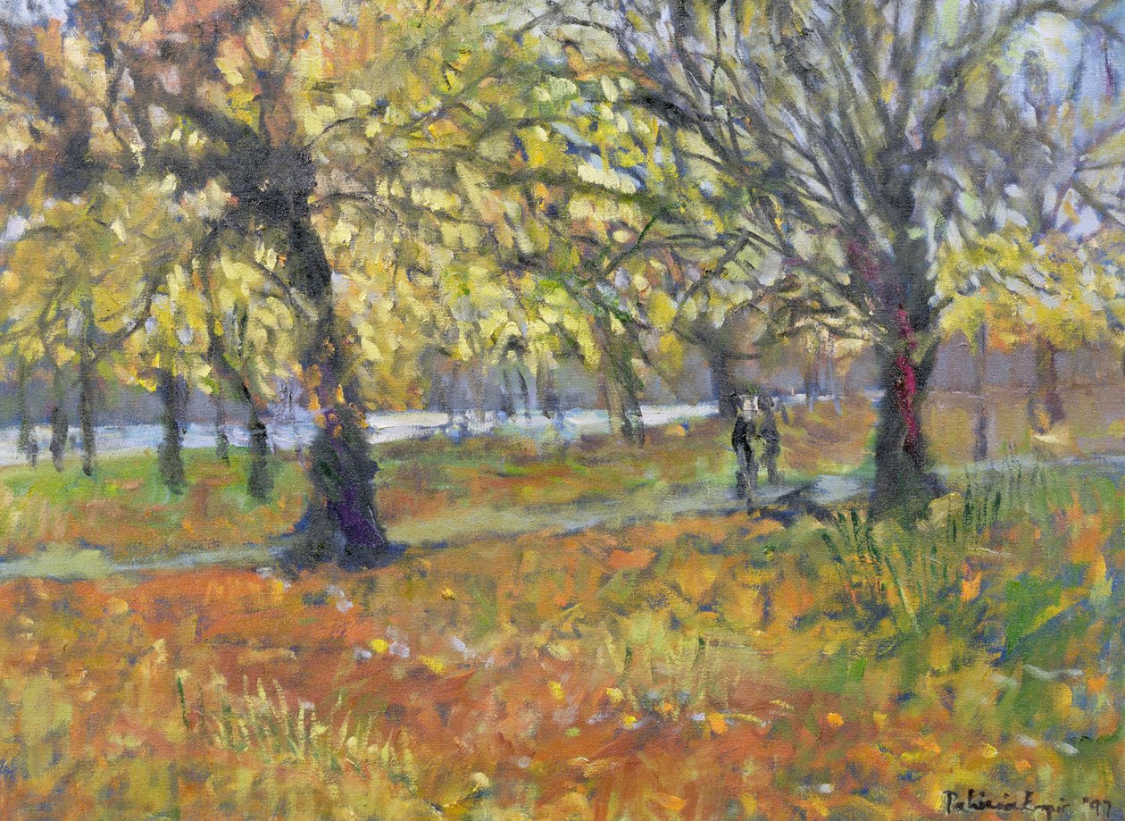 Novembre a Hyde Park, 1997 da Patricia Espir