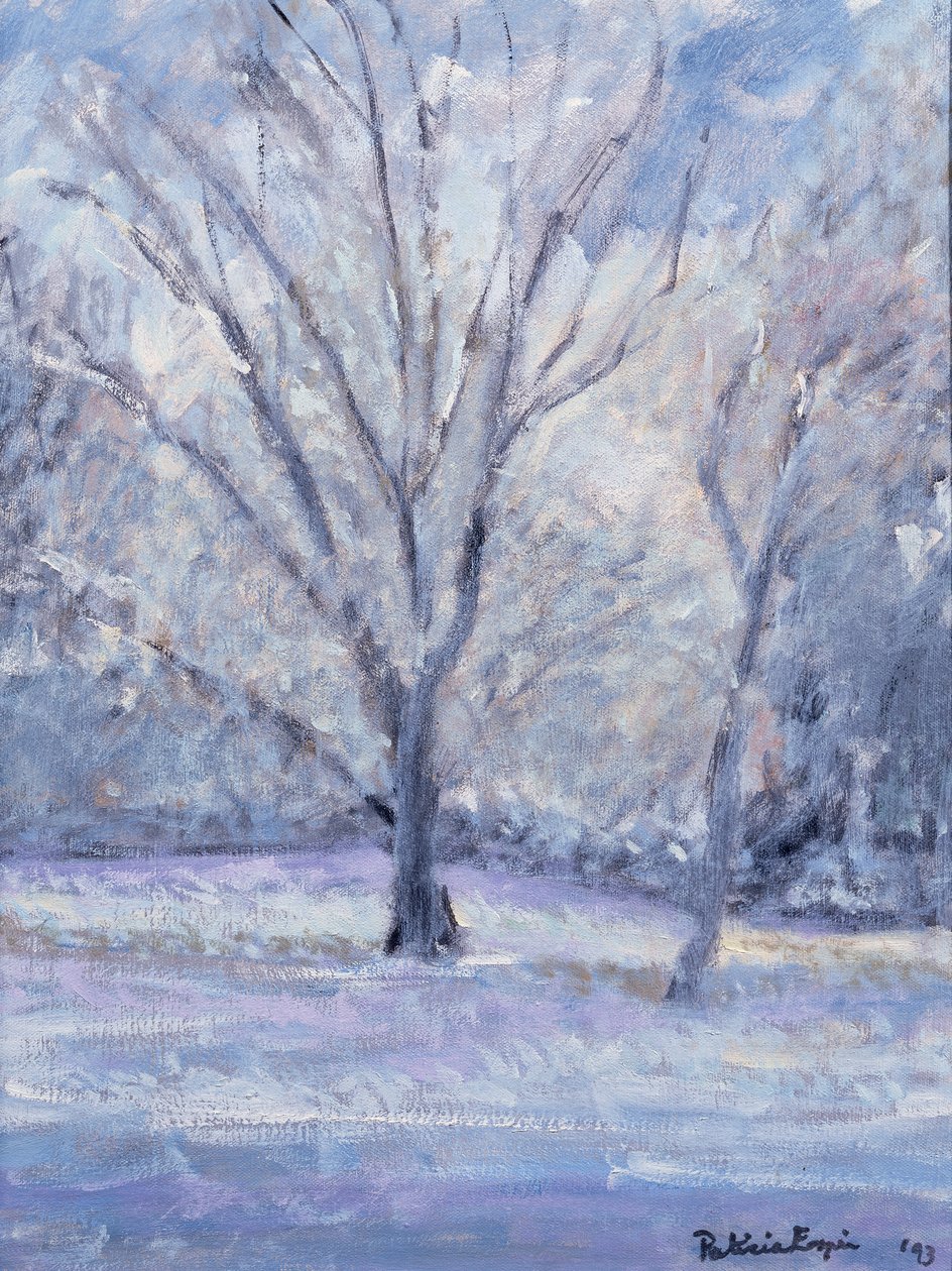 Scena di neve da Patricia Espir
