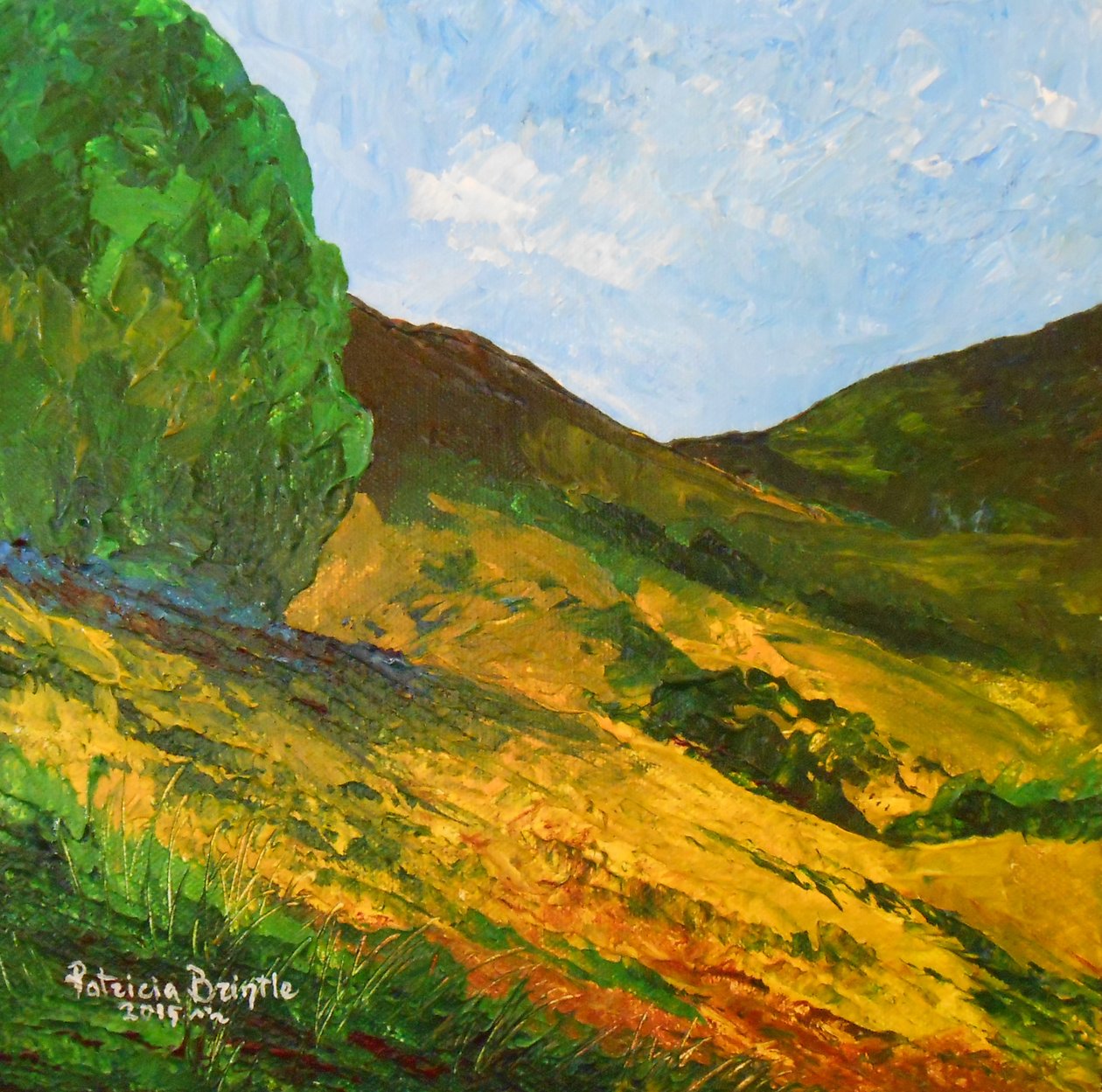 Morne La Selle, 2015 da Patricia Brintle