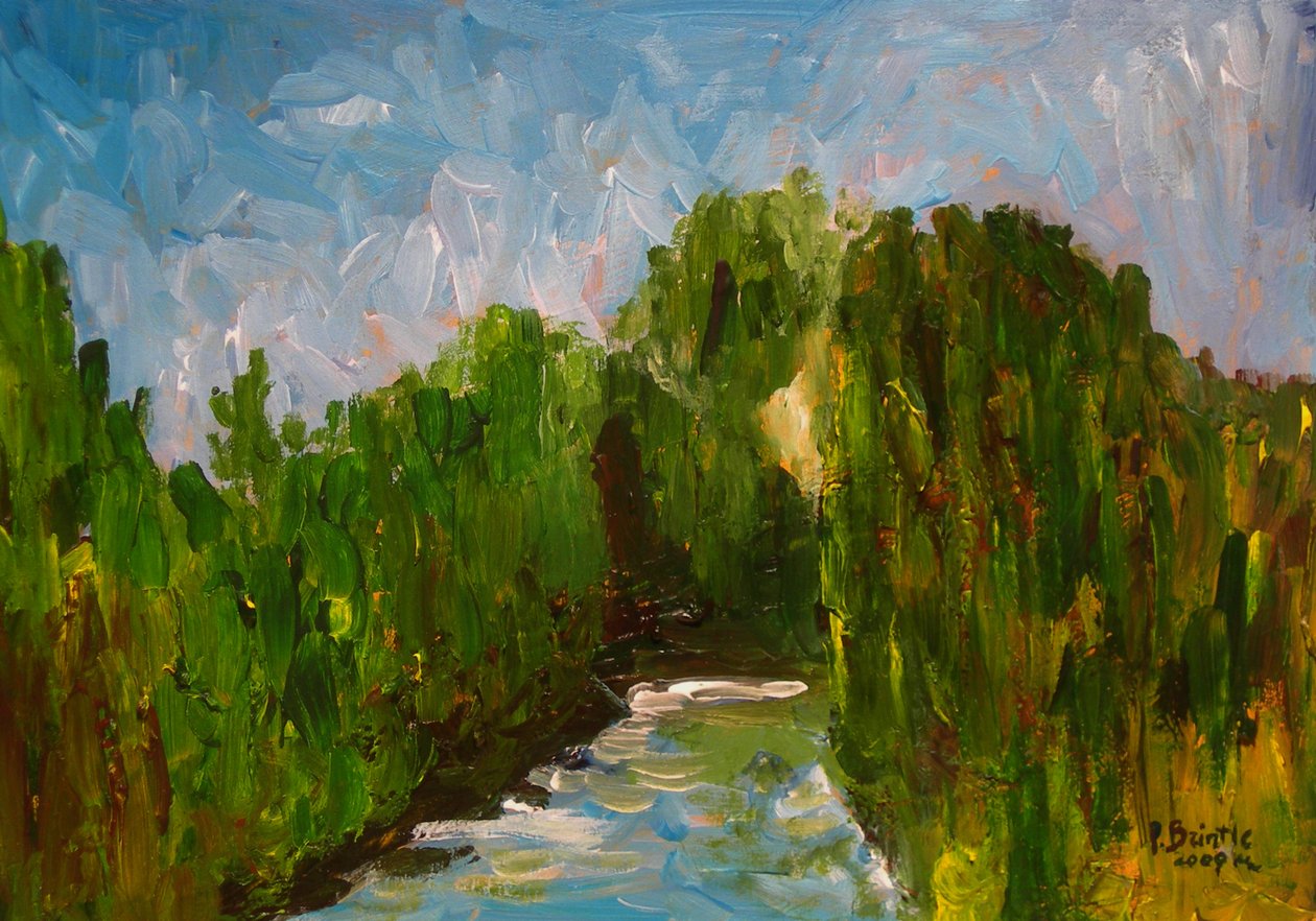 Fiume tortuoso, 2009 da Patricia Brintle