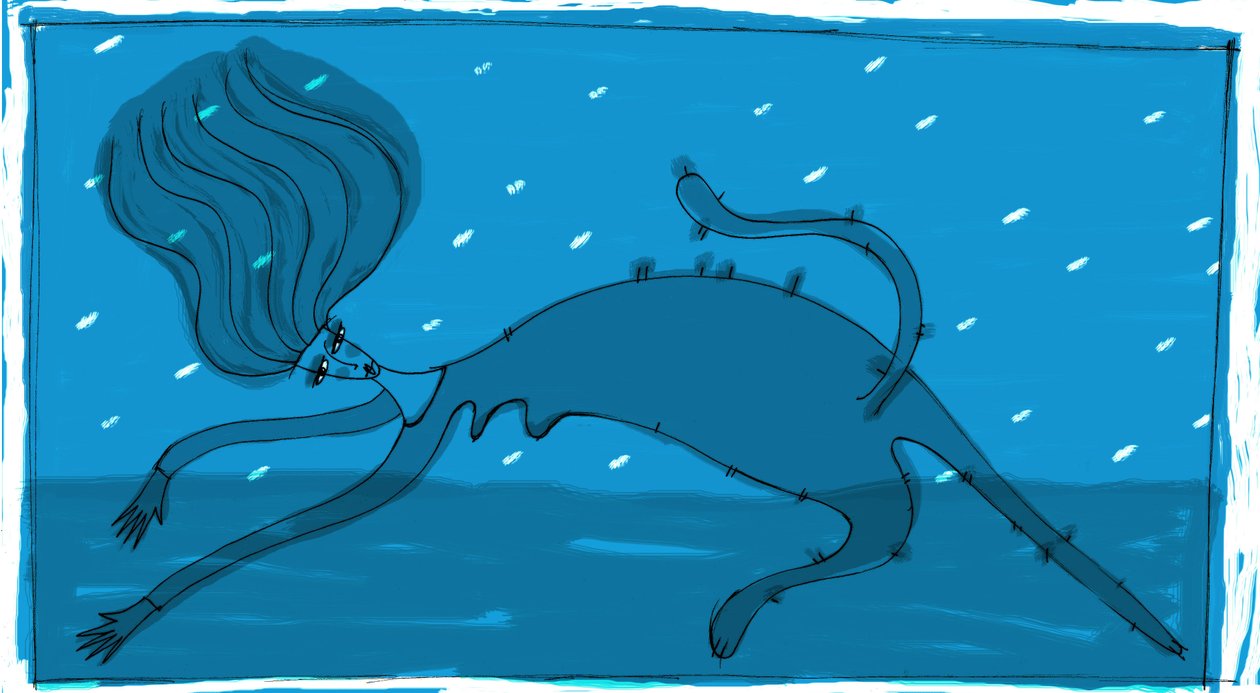Strega del Tchesal (Chiesale): strega che si trasforma in gatto per spiare gli uomini. Illustrazione di Patrizia La Porta da Patrizia La Porta