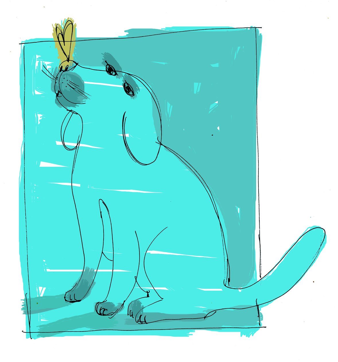 cane, 2000 (digitale) da Patrizia La Porta