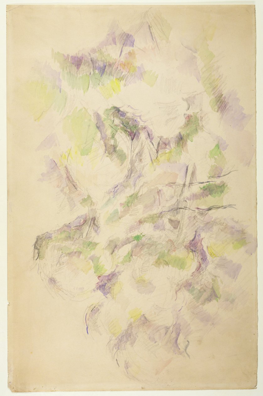 Studio per alberi da Paul Cézanne