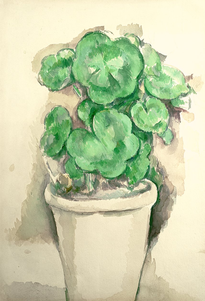 Vaso di gerani, c.1885 da Paul Cézanne