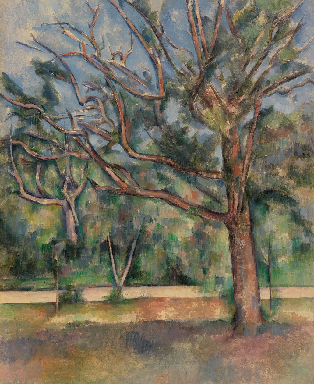 Alberi e Strada, c.1890 da Paul Cézanne