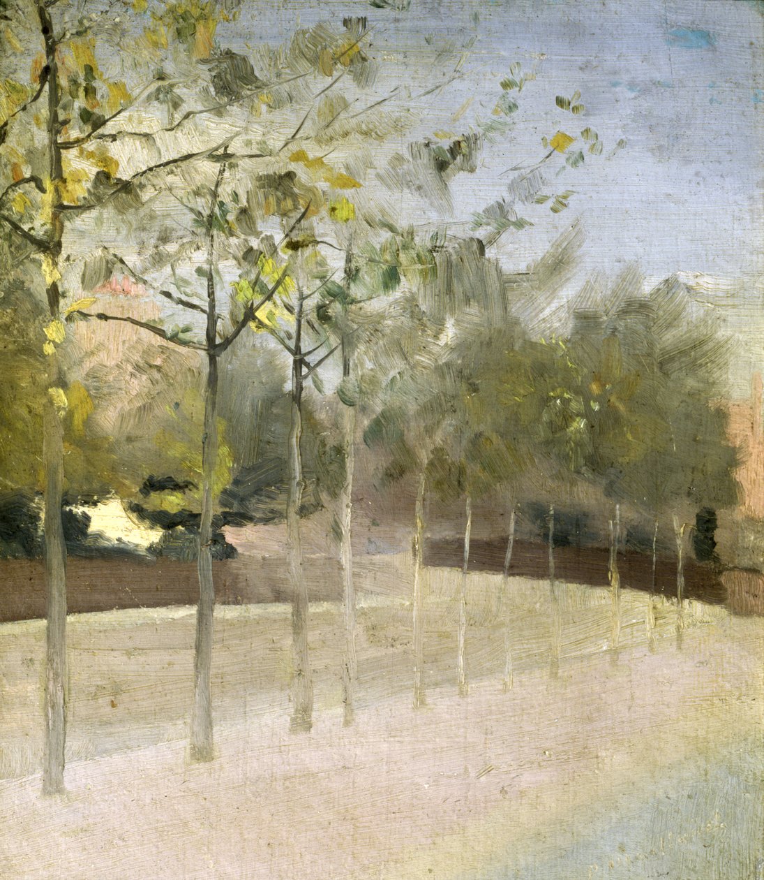 Chelsea Embankment, platani, 1908 da Paul Fordyce Maitland