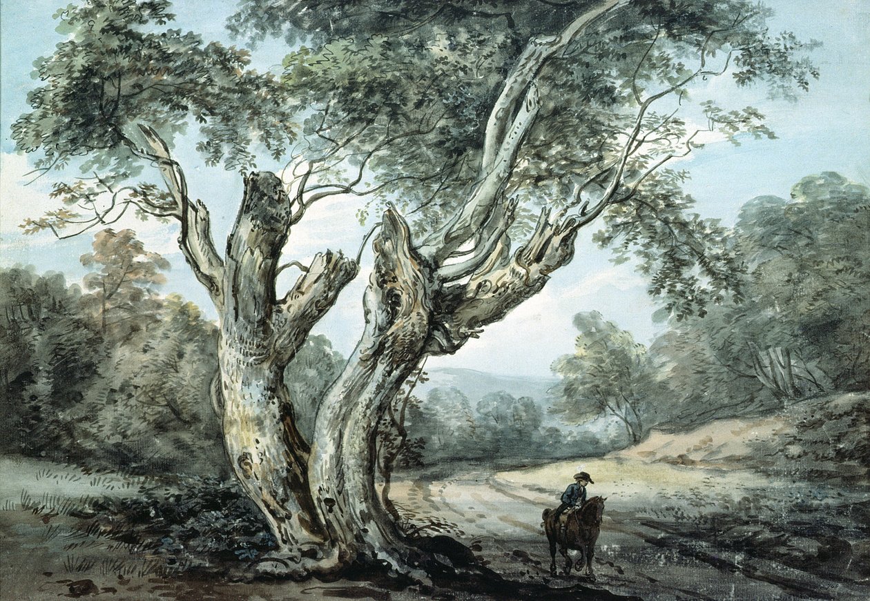 Una strada attraverso la foresta di Windsor da Paul Sandby