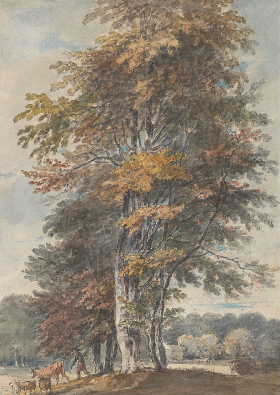 Paesaggio con faggi e uomo che guida bestiame e pecore da Paul Sandby