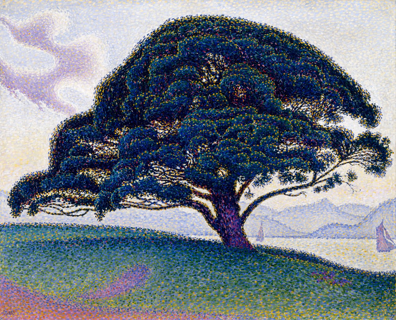 Il Pino di Bonaventure, 1893 da Paul Signac