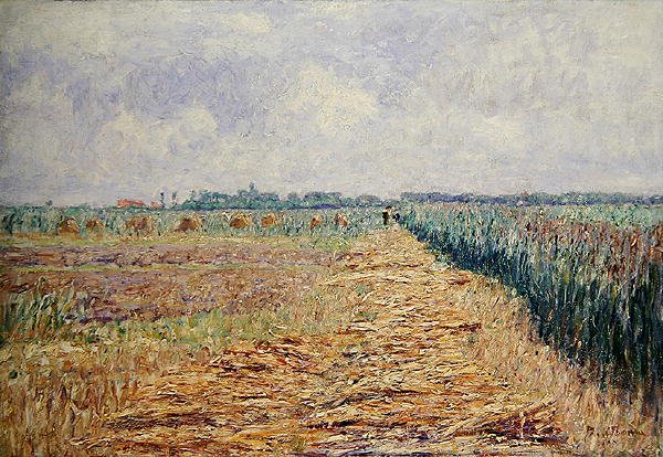Un paesaggio olandese piatto sotto un cielo estivo con nuvole bianche chiare, c.1890 da Paul Baum