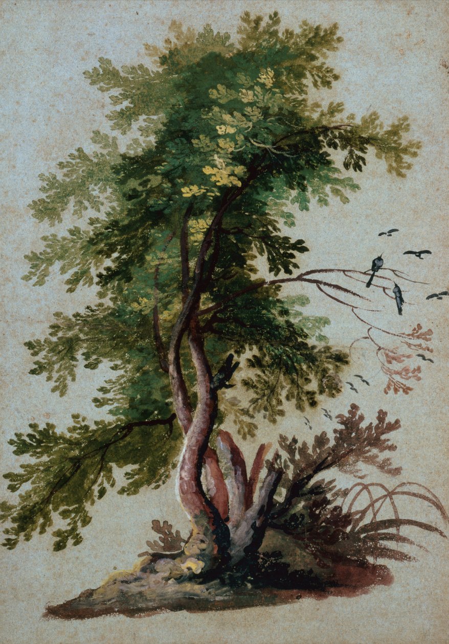 Un Albero con Due Uccelli Posati su un Ramo da Paul Brill or Bril