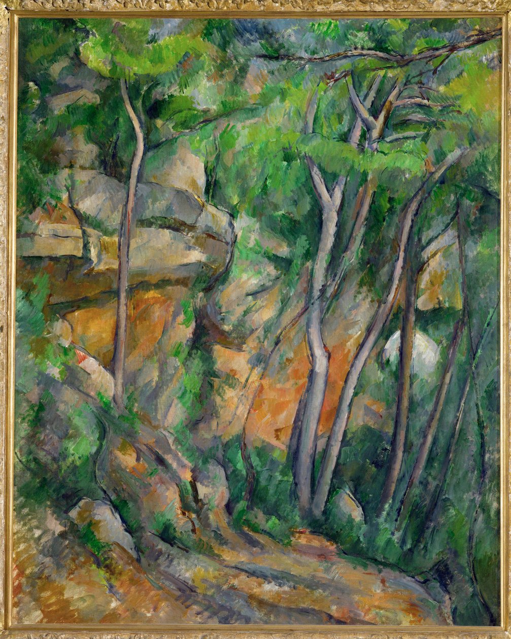 Dans le Parc de Chateau Noir (olio su tela) da Paul Cezanne