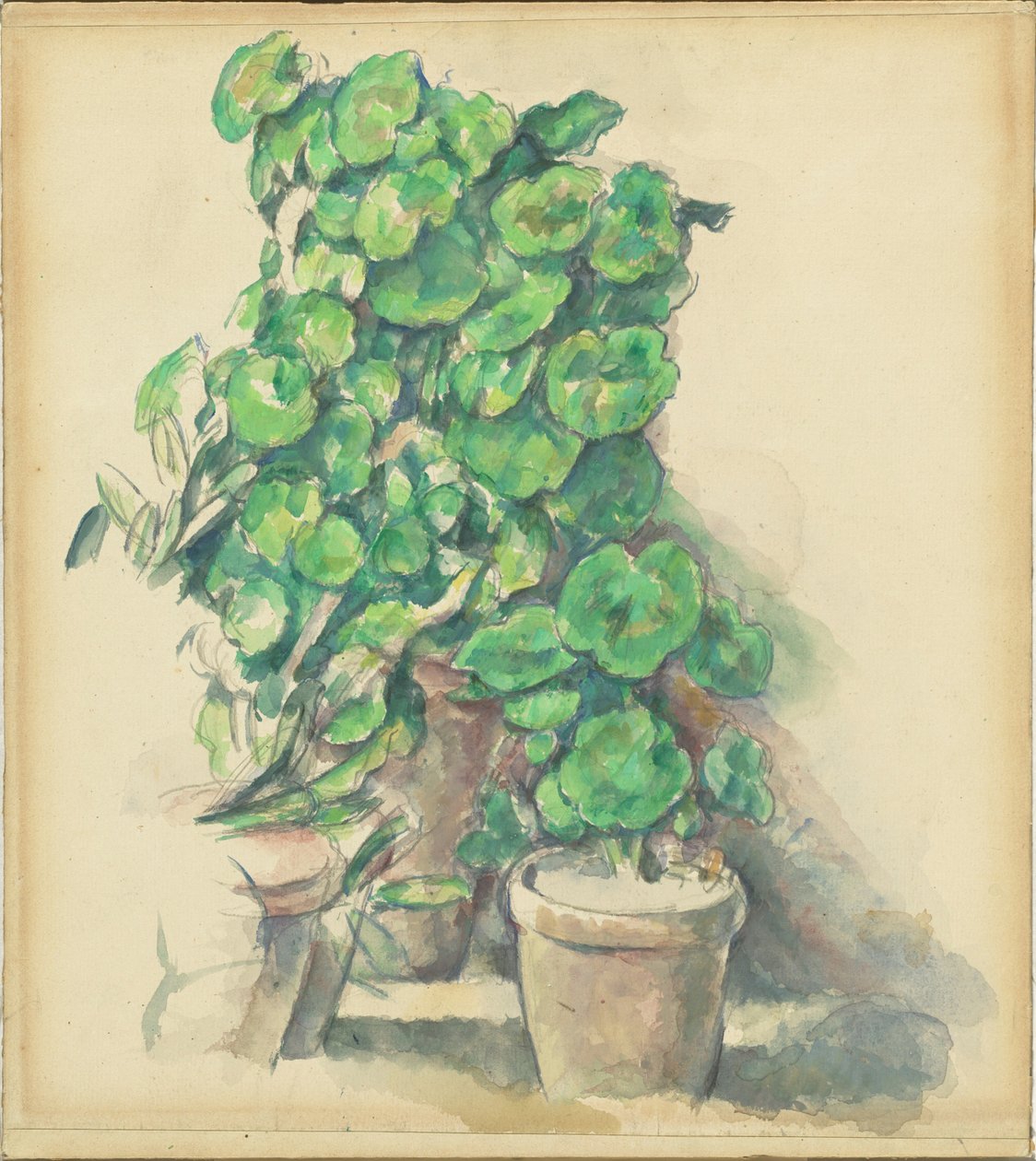 Gerani da Paul Cézanne