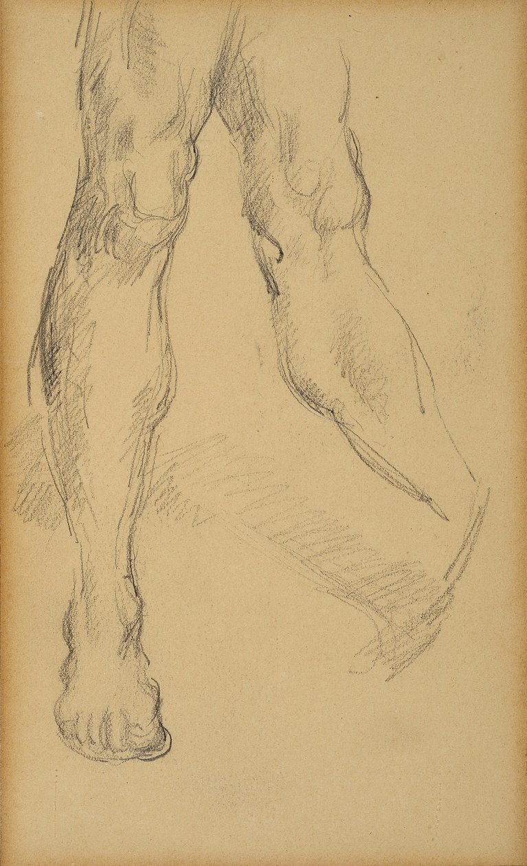 Studio delle gambe. Disegno di Paul Cezanne da Paul Cézanne