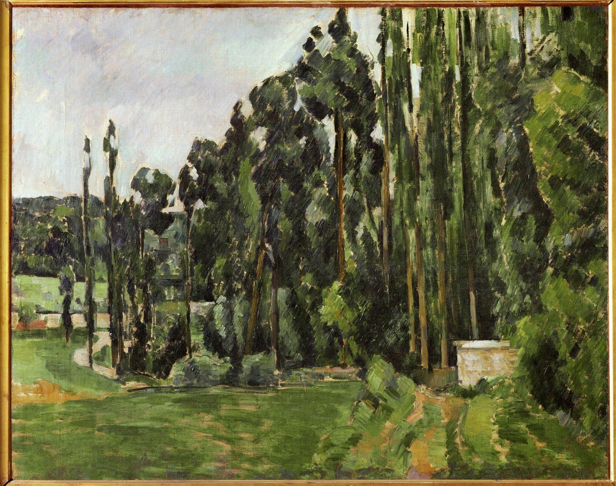 I pioppi (olio su tela) da Paul Cezanne