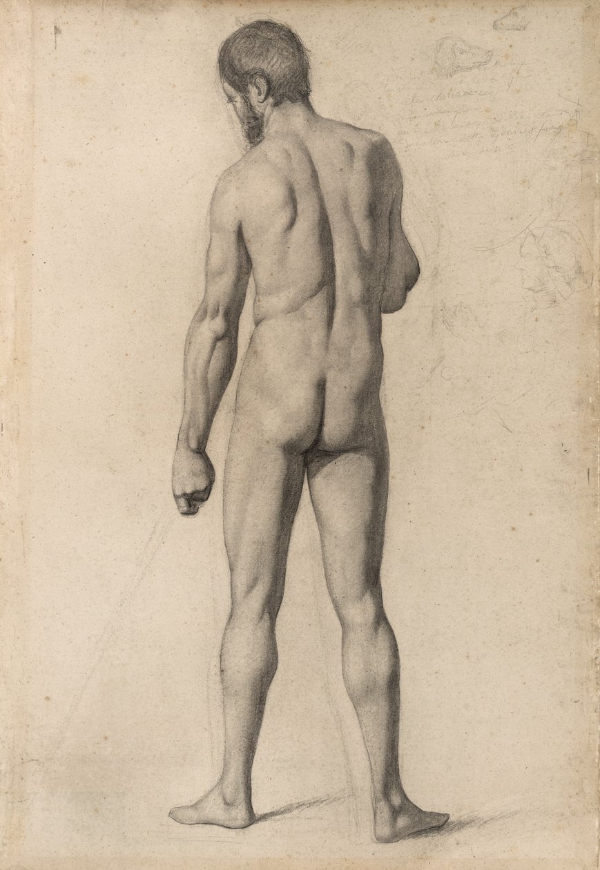 Nudo accademico visto da dietro, 1862 da Paul Cézanne